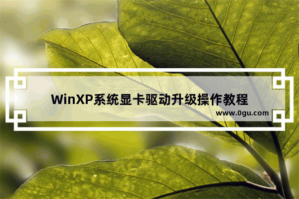 WinXP系统显卡驱动升级操作教程