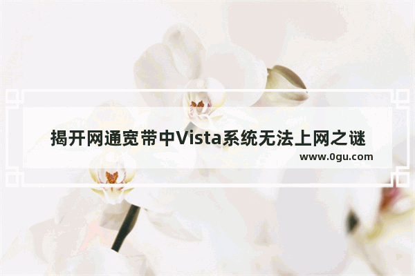 揭开网通宽带中Vista系统无法上网之谜
