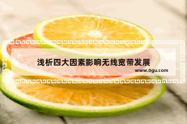 浅析四大因素影响无线宽带发展
