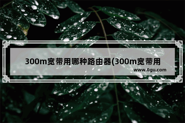 300m宽带用哪种路由器(300m宽带用什么样的路由器)