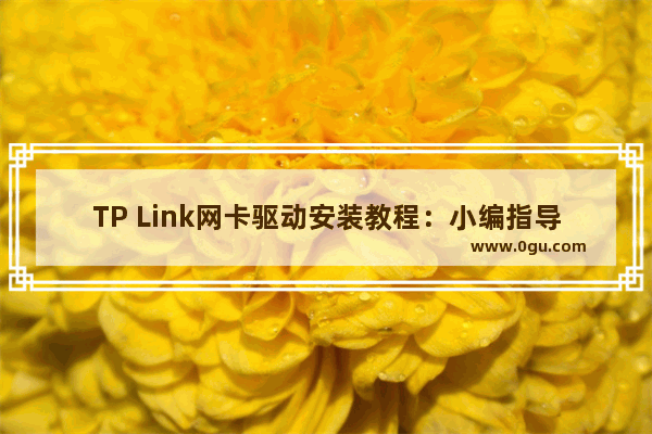 TP Link网卡驱动安装教程：小编指导你一步步操作