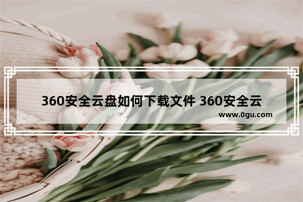 360安全云盘如何下载文件 360安全云盘下载文件的方法