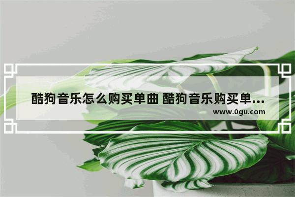 酷狗音乐怎么购买单曲 酷狗音乐购买单曲的方法