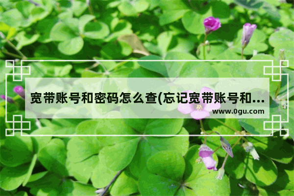 宽带账号和密码怎么查(忘记宽带账号和密码教学)