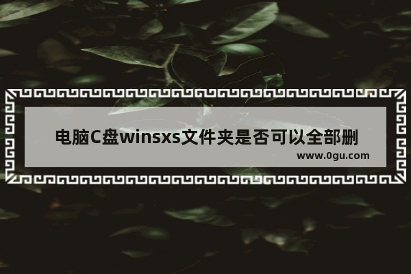 电脑C盘winsxs文件夹是否可以全部删除