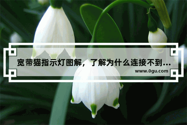 宽带猫指示灯图解，了解为什么连接不到网络