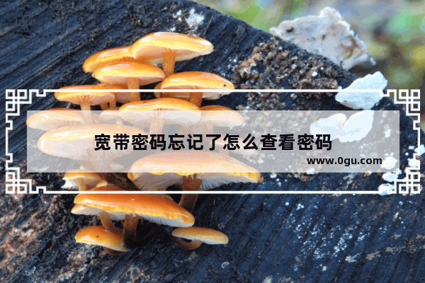 宽带密码忘记了怎么查看密码