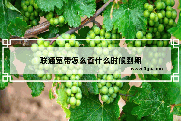 联通宽带怎么查什么时候到期
