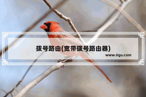 拨号路由(宽带拨号路由器)