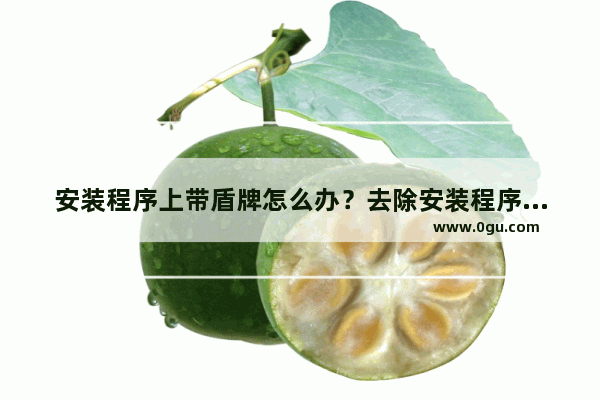 安装程序上带盾牌怎么办？去除安装程序盾牌的方法