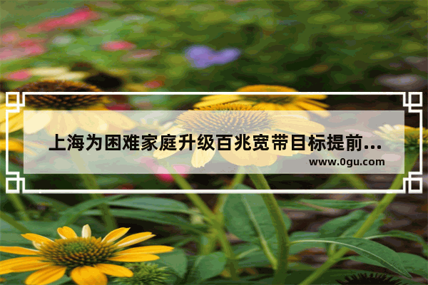 上海为困难家庭升级百兆宽带目标提前完成为困难家庭免费升级百兆宽带