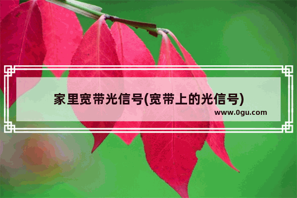 家里宽带光信号(宽带上的光信号)