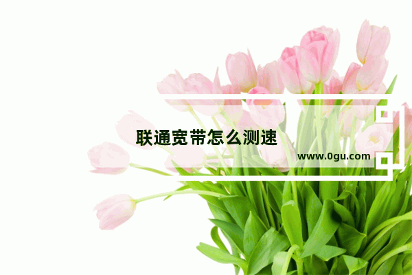 联通宽带怎么测速