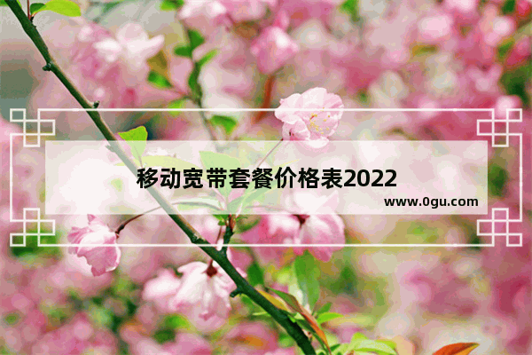 移动宽带套餐价格表2022