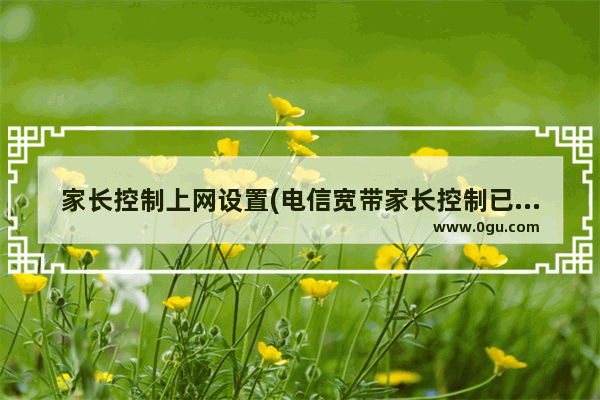 家长控制上网设置(电信宽带家长控制已开通,如何控制)