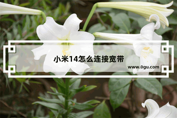 小米14怎么连接宽带