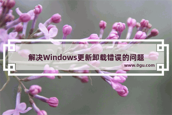 解决Windows更新卸载错误的问题