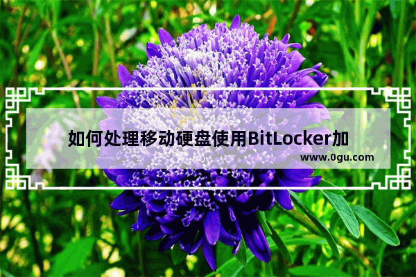 如何处理移动硬盘使用BitLocker加密后无法打开的问题
