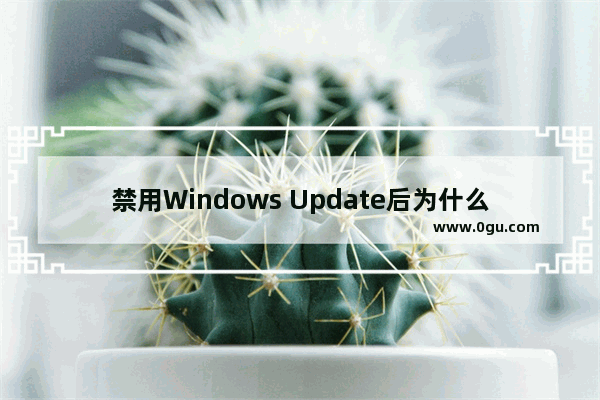禁用Windows Update后为什么又自动恢复了？禁用Windows Update的解决方法
