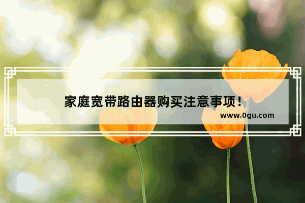 家庭宽带路由器购买注意事项！