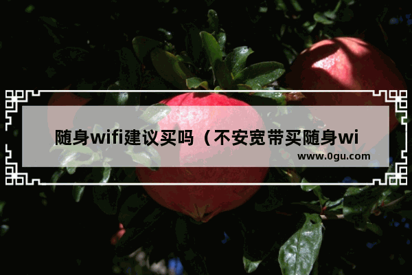 随身wifi建议买吗（不安宽带买随身wifi咋样）