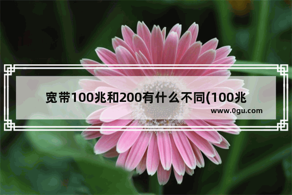 宽带100兆和200有什么不同(100兆和200兆宽带区别大吗)