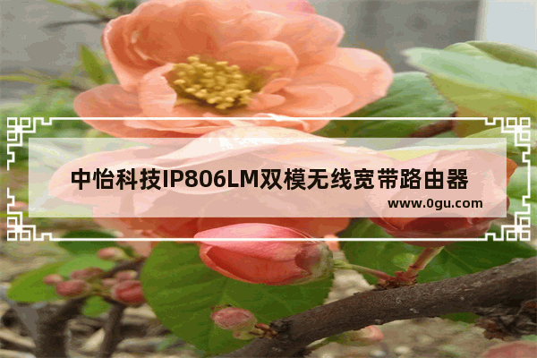 中怡科技IP806LM双模无线宽带路由器