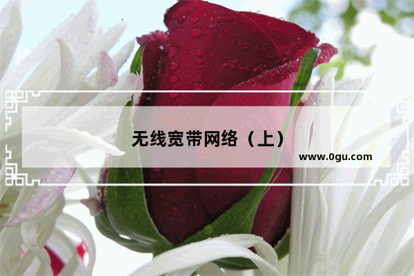 无线宽带网络（上）