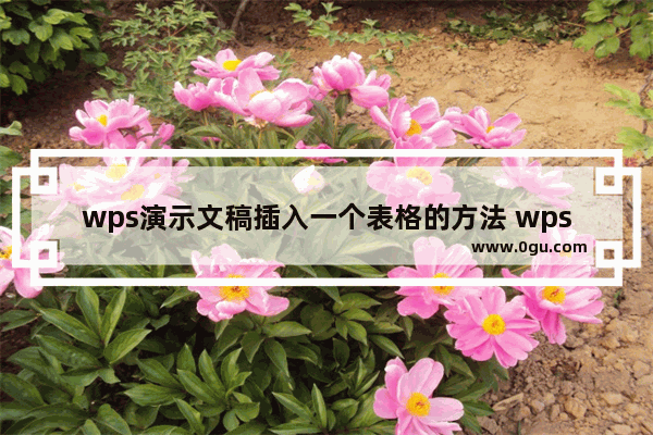 wps演示文稿插入一个表格的方法 wps演示文稿如何插入一个表格