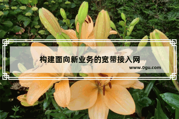 构建面向新业务的宽带接入网