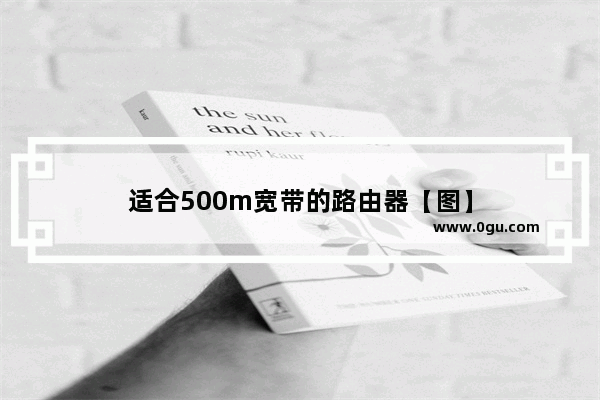 适合500m宽带的路由器【图】