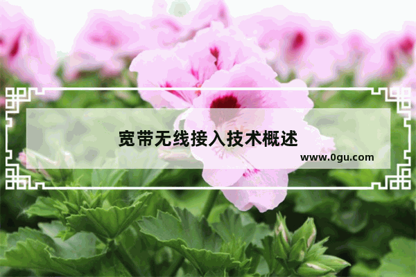 宽带无线接入技术概述