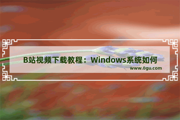B站视频下载教程：Windows系统如何从B站下载视频？