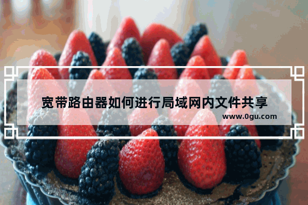 宽带路由器如何进行局域网内文件共享