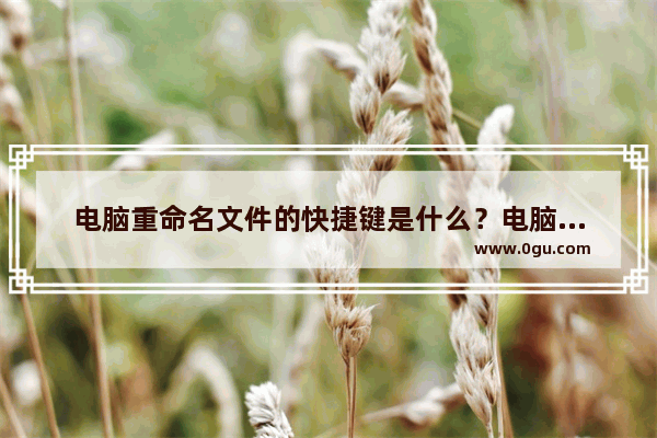 电脑重命名文件的快捷键是什么？电脑重命名文件的快捷键Ctrl加什么