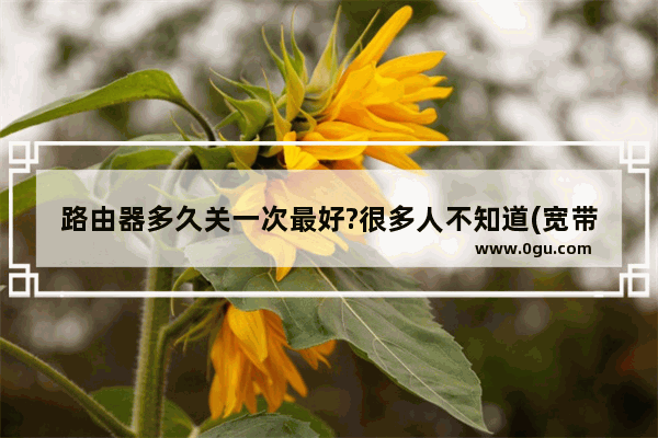 路由器多久关一次最好?很多人不知道(宽带路由器多久关一次)