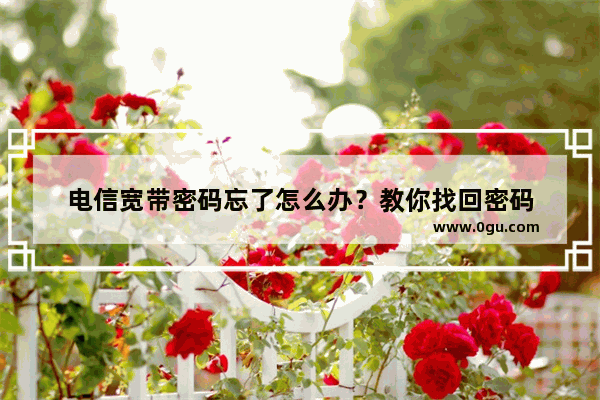 电信宽带密码忘了怎么办？教你找回密码