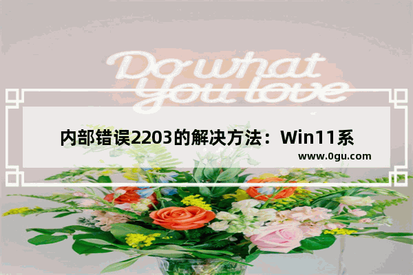 内部错误2203的解决方法：Win11系统提示内部错误2203怎么办？