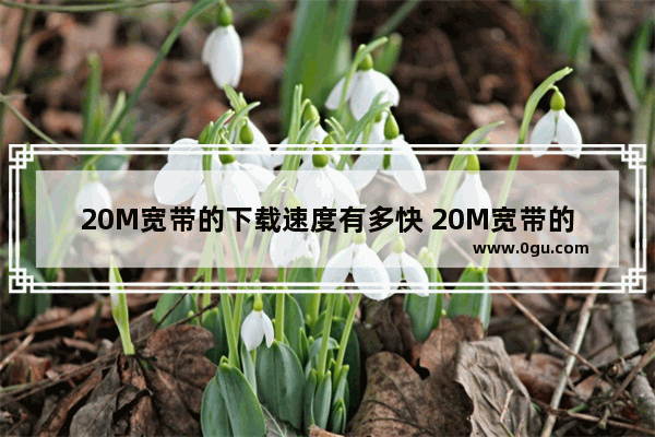 20M宽带的下载速度有多快 20M宽带的下载速度详解