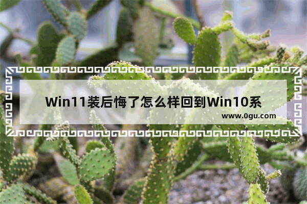 Win11装后悔了怎么样回到Win10系统？