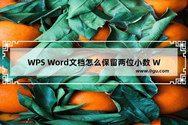 WPS Word文档怎么保留两位小数 WPS Word文档保留两位小数的方法