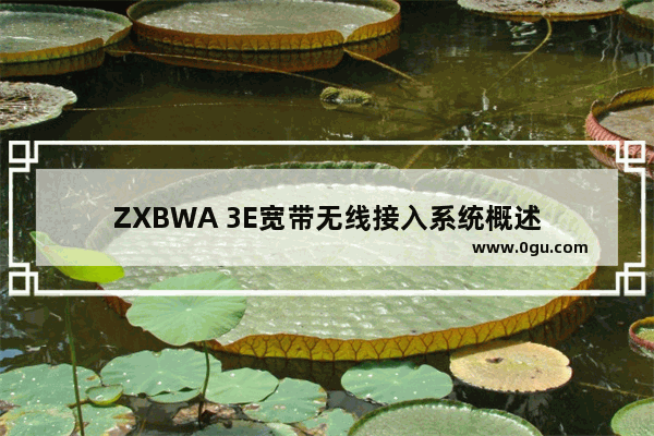 ZXBWA 3E宽带无线接入系统概述