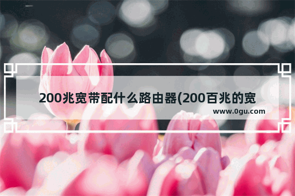 200兆宽带配什么路由器(200百兆的宽带配什么样的路由器)