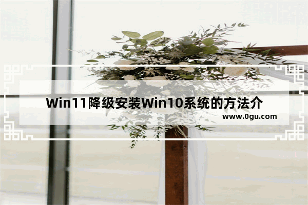 Win11降级安装Win10系统的方法介绍