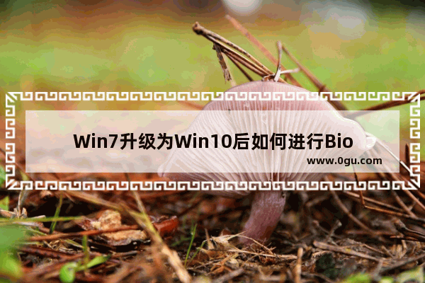 Win7升级为Win10后如何进行Bios设置的教程