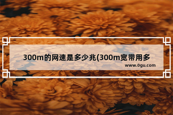300m的网速是多少兆(300m宽带用多少速率路由器)