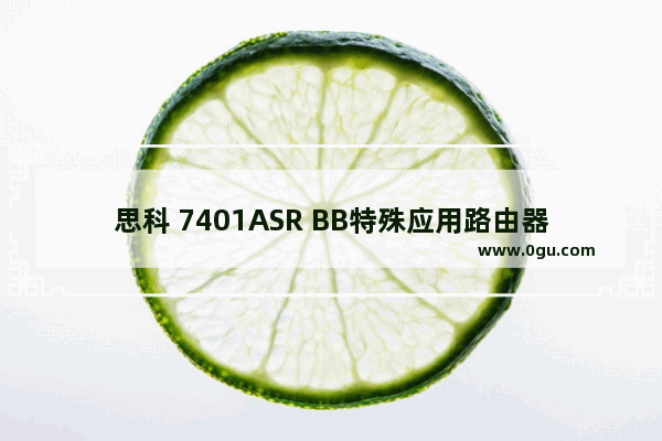 思科 7401ASR BB特殊应用路由器宽带集中应用概览