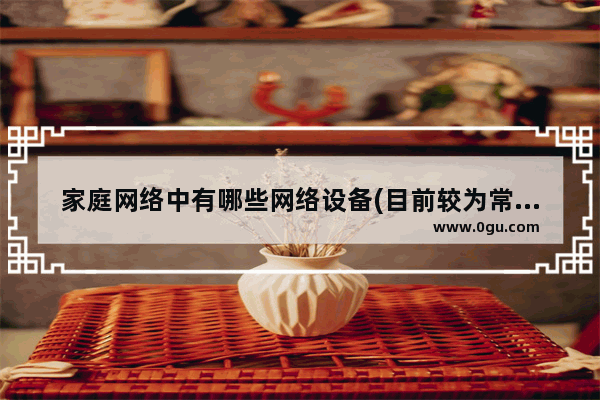 家庭网络中有哪些网络设备(目前较为常用的宽带上网方式有哪些)