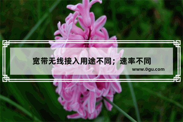 宽带无线接入用途不同；速率不同