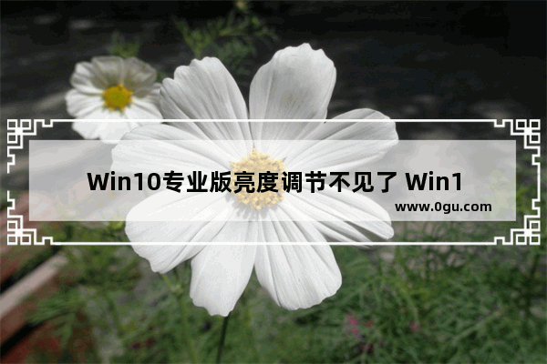 Win10专业版亮度调节不见了 Win10更新后亮度无法调节